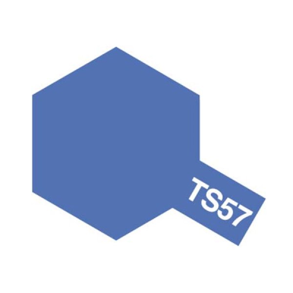 画像1: TS-57 ブルーバイオレット