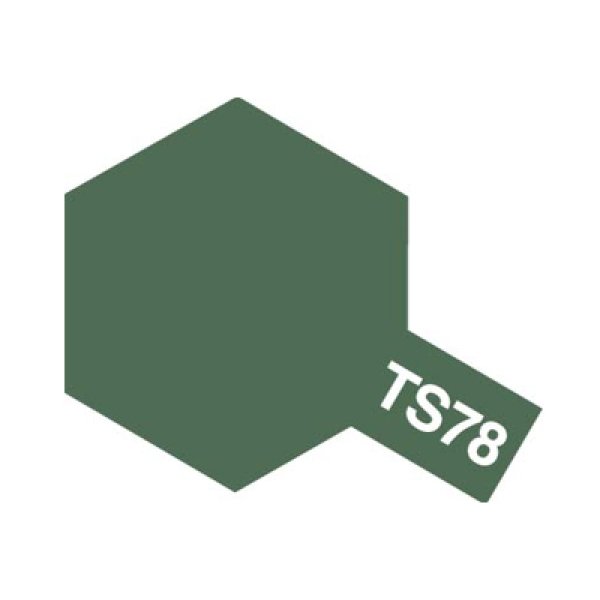 画像1: TS-78 フィールドグレイ