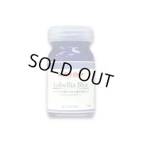 Lobellia Blue ロベリアブルー