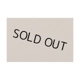 アオシマ 1/24 フロッキー粉末 (ダークベージュ)