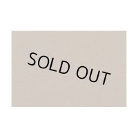 アオシマ 1/24 フロッキー粉末 (ダークベージュ)