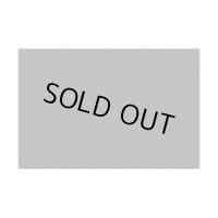 アオシマ 1/24 フロッキー粉末（ナチュラルグレー）