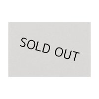 アオシマ 1/24 フロッキー粉末（ソフトグレー）