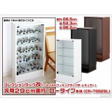 リニューアル新タイプ THIRD[サード] 幅55cm 29cm奥行 ロータイプ 本体