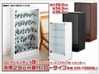 リニューアル新タイプ THIRD[サード] 幅55cm 29cm奥行 ロータイプ 本体