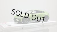 EIDOLON 1/43 Lamborghini URUS 2017 NATH 22inch Wheel Ithaca Green