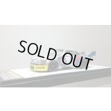 VISION 1/43 Porsche 911 Carrera RSR "Martini Racing" Zeltweg 1000km 1973 No.7