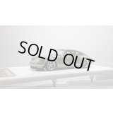 VISION 1/43 Singer Porsche 911(964) Coupe Green Gray "New Zealand" Limited 35 pcs.