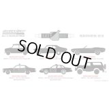 GREEN LiGHT 1/64 Black Bandit Series 23