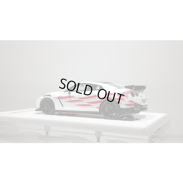 画像3: EIDOLON 1/43 NISSAN GT-R NISMO 2020 Tsukuba Time Attack 2019