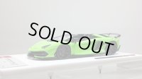 EIDOLON 1/43 Lamborghini Aventador SVJ Roadster 2019 (Leirion wheel) Verdes Scandal (Style Package) Limited 60 pcs.