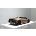 画像8: EIDOLON 1/43 Lamborghini Huracan EVO Spyder 2019 (NARVI wheel) Bronzo Zenas (Matt Bronze) Limited 50 pcs. (8)