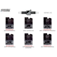 GREEN LiGHT 1/64 Black Bandit Series 25