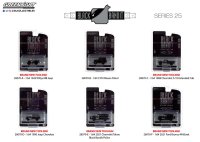 GREEN LiGHT 1/64 Black Bandit Series 25