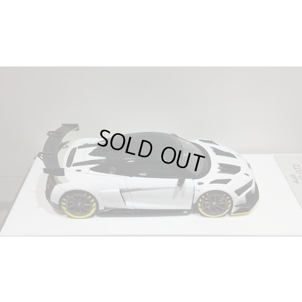 画像8: EIDOLON 1/43 Audi R8 LMS GT2 Goodwood Festival of Speed 2019