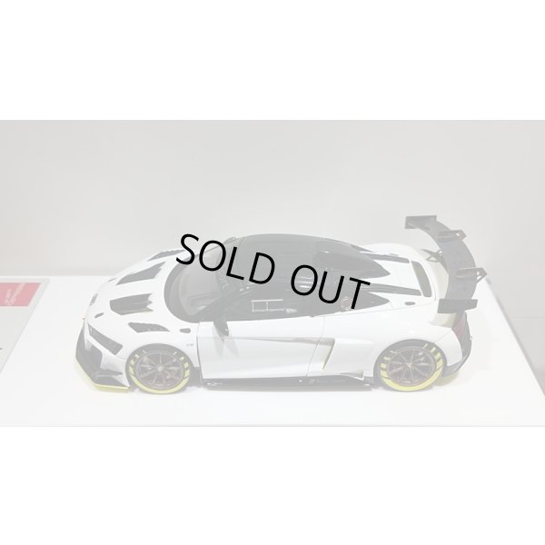 画像4: EIDOLON 1/43 Audi R8 LMS GT2 Goodwood Festival of Speed 2019