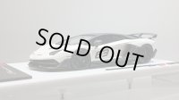 EIDOLON 1/43 Lamborghini Aventador SVJ 63 2018 Matte Pearl White Limited 100 pcs.