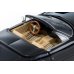 画像10: TOMYTEC 1/64 LV Ferrari 365 GTS4 (Black)