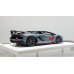 画像7: EIDOLON 1/43 Lamborghini Aventador SVJ 63 Roadster 2019 Matte Gray Limited 100 pcs.
