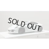 EIDOLON 1/43 Porsche 911 (991) Carrera 4 GTS 2014 Carrara White Metallic