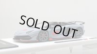 EIDOLON 1/43 Lamborghini Aventador SVJ 63 Roadster 2019 Matte Gray Limited 100 pcs.