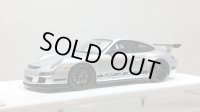 EIDOLON 1/43 Porsche 911 (997) GT3 RS 2007 Arctic Silver / Black Livery
