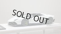 EIDOLON 1/43 Lamborghini Aventador LP780-4 Ultimae Roadster 2021 (Leirion Wheel) Bianco Opalis / Black Accent Limited 60 pcs.