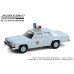 画像2: GREEN LiGHT 1/64 1982 Ford LTD-S - County Sheriff (2)