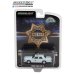 画像1: GREEN LiGHT 1/64 1982 Ford LTD-S - County Sheriff (1)