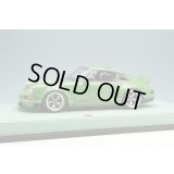 EIDOLON 1/18 Singer DLS 2018 Green