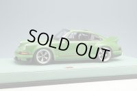 EIDOLON 1/18 Singer DLS 2018 Green