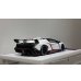 画像10: EIDOLON 1/43 Lamborghini Veneno Roadster 2015 Matte White / Red Stripe Limited 80 pcs. (10)