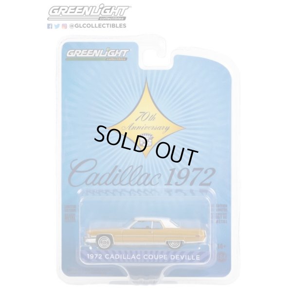 画像9: GREEN Light 1/64 Anniversary Collection Series 14