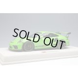 EIDOLON 1/18 Porsche 911 (991.2) GT3 RS 2018 Lizard Green