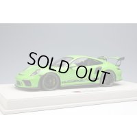 EIDOLON 1/18 Porsche 911 (991.2) GT3 RS 2018 Lizard Green