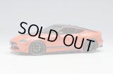 EIDOLON 1/43 Nissan Fairlady Z Customized Proto TOKYO AUTO SALON 2022