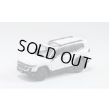 Gaincorp Products 1/64 Toyota Land Cruiser LC300 GR-Sport White