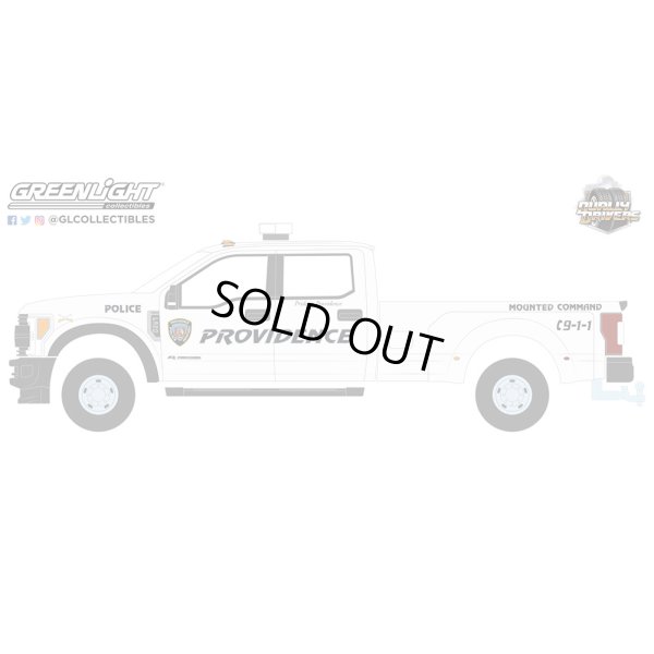 画像13: GREEN Light 1/64 Dually Drivers Series 12