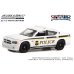 画像4: GREEN LiGHT 1/64 Hot Pursuit Special Edition - United States Secret Service Police Assortment (4)