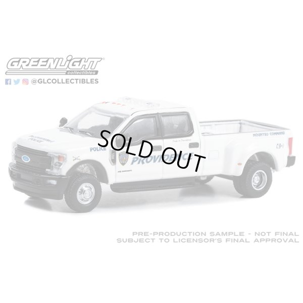 画像6: GREEN Light 1/64 Dually Drivers Series 12