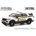 画像7: GREEN LiGHT 1/64 Hot Pursuit Special Edition - United States Secret Service Police Assortment (7)