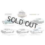 GREEN Light 1/64 Dually Drivers Series 12