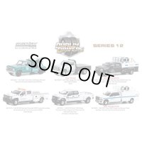 GREEN Light 1/64 Dually Drivers Series 12