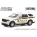画像6: GREEN LiGHT 1/64 Hot Pursuit Special Edition - United States Secret Service Police Assortment (6)