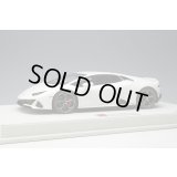 EIDOLON 1/18 Lamborghini Huracan EVO 2019 (AESIR wheel) Pearl White Limited 60 pcs.
