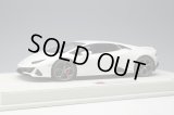 EIDOLON 1/18 Lamborghini Huracan EVO 2019 (AESIR wheel) Pearl White Limited 60 pcs.