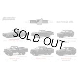 GREEN Light 1/64 Black Bandit Series 28