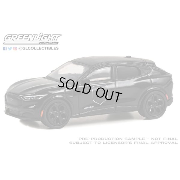 画像7: GREEN Light 1/64 Black Bandit Series 28