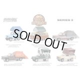 GREEN LiGHT 1/64 The Great Outdoors Series 3