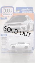 auto world 1/64 2021 Dodge Charger White Knuckle/Black